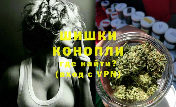 гашик Балахна